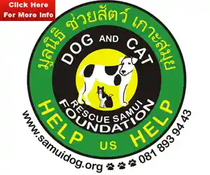 Dog and Cat Rescue Koh Samui